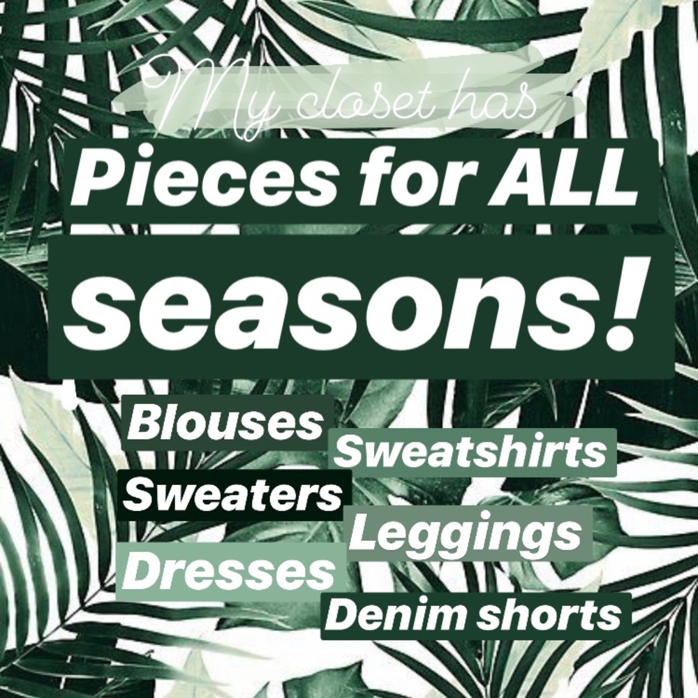 🌵 Make an offer & it’s yours! 🌵